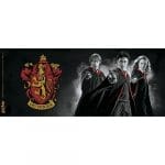 harry potter set  coasters houses