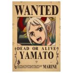 Anime Luffy Gear 5 One Pieces Bounty Wanted Posters 4 Emperors Law Kid Figures Vintage Living.jpg 640x640 (3)