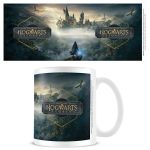 harry potter1