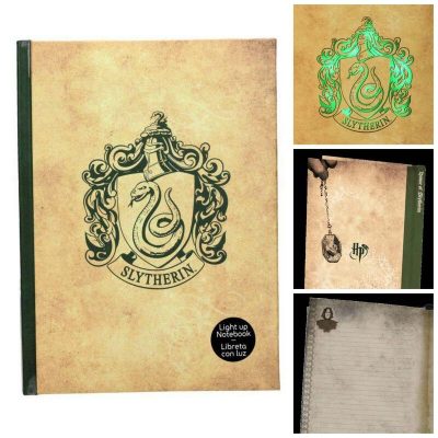 harry potter13