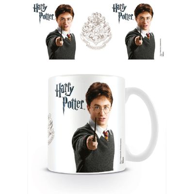 harry potter2