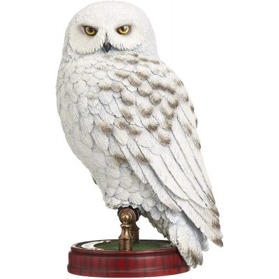 hedwig