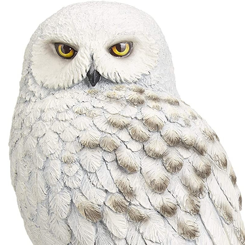 hedwig1