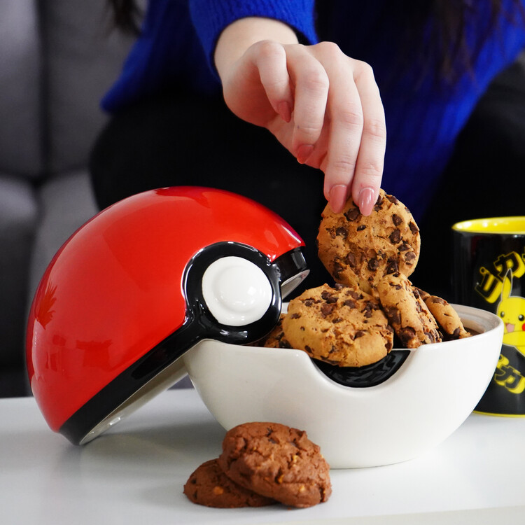 pokemon8