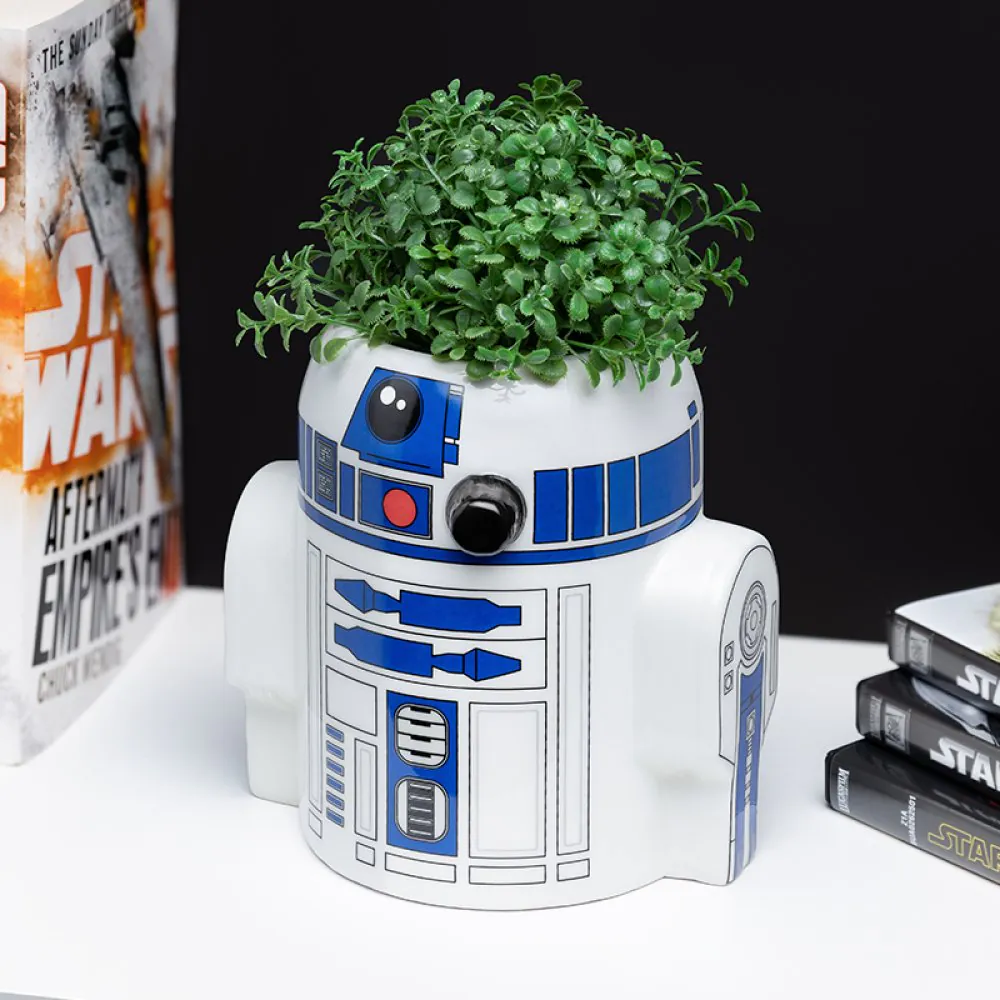 r2d21