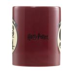 harry potter6