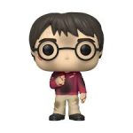 harry potter1