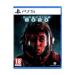 PS5 Directive 8020